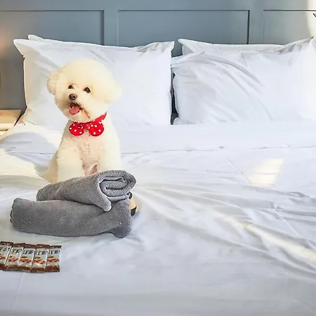 Hotel Poco Seongsu Seoul Bagian luar foto