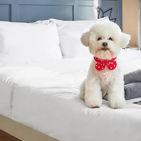 Hotel Poco Seongsu Seoul Bagian luar foto
